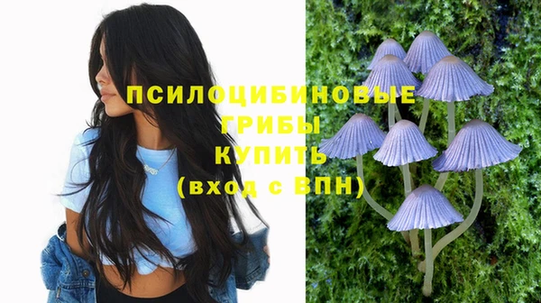молекула духа Костерёво