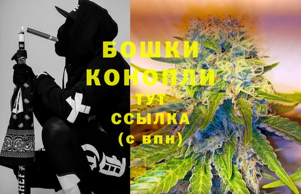 молекула духа Костерёво